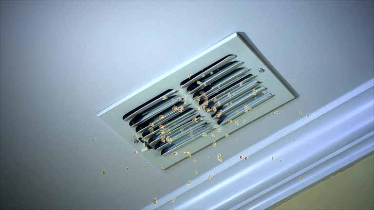 Best HVAC System Cleaning  in Alvord, TX